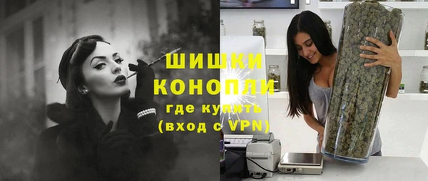 spice Аркадак