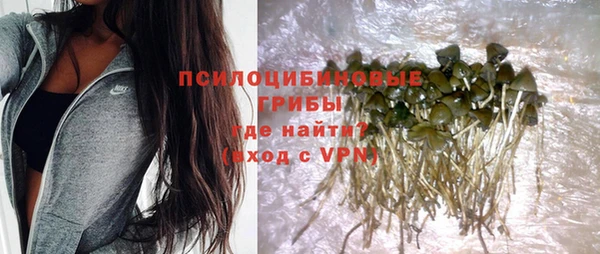 твердый Балахна