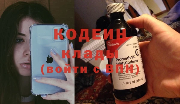 гашик Арсеньев