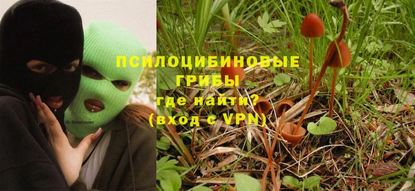 твердый Балахна