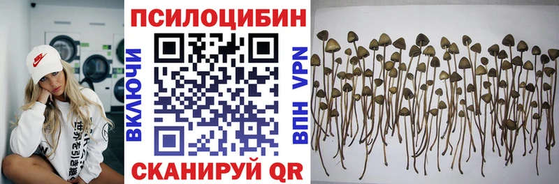Галлюциногенные грибы Magic Shrooms  купить  цена  мега вход  Нея 